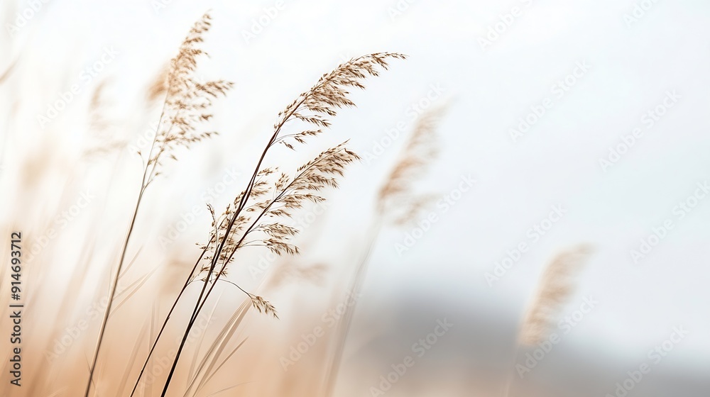 Closeup brown dry ears of grass reed over blurred grey sky Moody autumn winter landscape Fading wild plants detail Seeds Defocused background : Generative AI Closeup brown dry ears of grass reed over blurred grey sky Moody autumn winter landscape Fading wild plants detail Seeds Defocused background : Generative AI