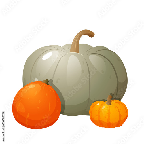 Pumpkins Autumn pumpkin harvest different types and colors isolated on white background.
composition