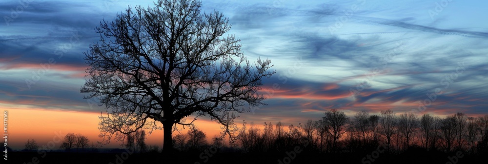 Silhouette of a bare tree against a twilight sky autumn landscape with trees Silhouette of a bare tree against a twilight sky autumn landscape with trees