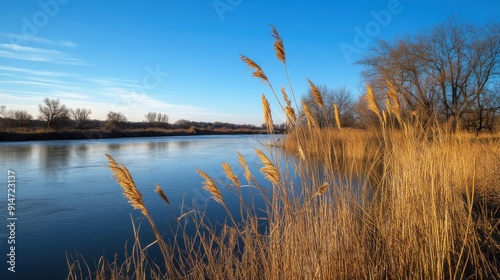 A tranquil riverbank with tall grasses and a clear blue sky