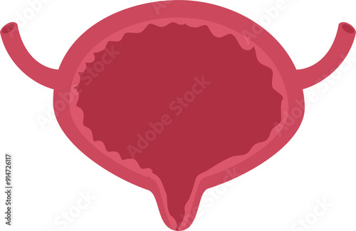 Urinary bladder disease. Empty bladder Illustration.