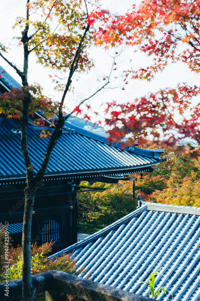 京都の神社