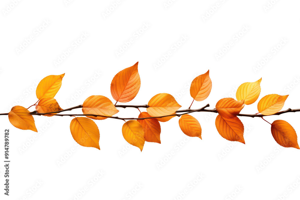 A line of orange leaves on a white background A line of orange leaves on a white background