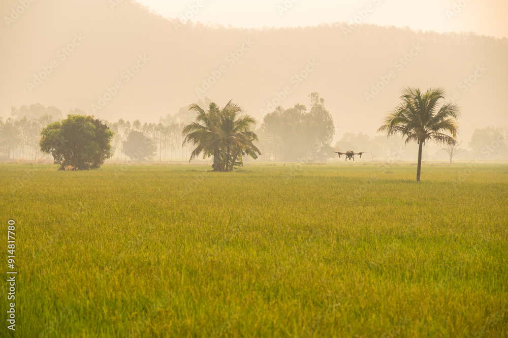 Agriculture drone flying over rice field for monitor and spraying fertilizer in paddy field of rural Thailand. Agriculture drone flying over rice field for monitor and spraying fertilizer in paddy field of rural Thailand.
