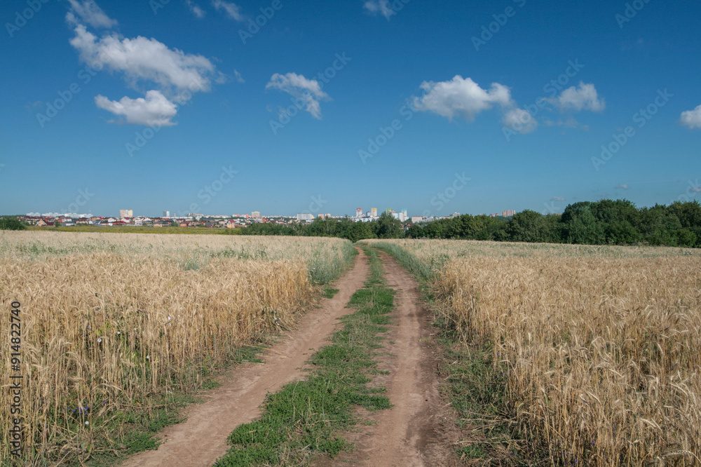 A dirt road running through a field.