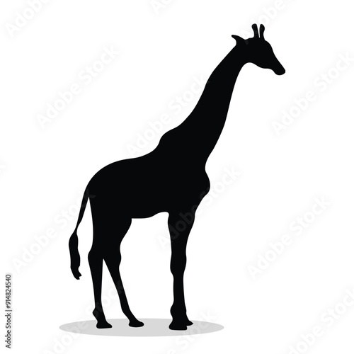 Photography Giraffes Silhouette, Giraffes Vector Silhouette, Giraffes cartoon Silhouette, Gi