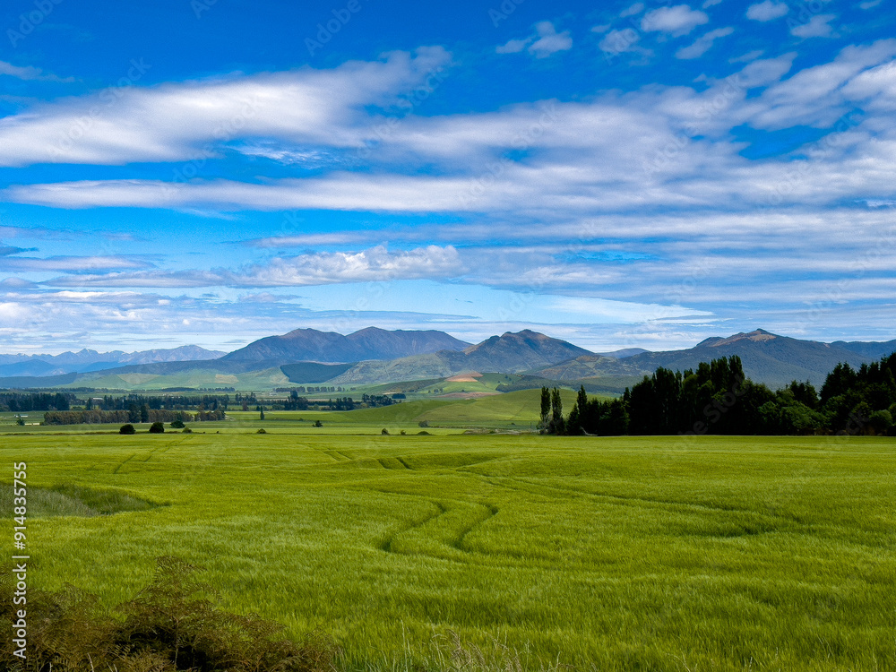 Tractor trail in a green cereal field with gorgeous mountains in the background on a sunny slightly cloudy day in New Zealand - Concept of outdoor, travel, landscape, agriculture Tractor trail in a green cereal field with gorgeous mountains in the background on a sunny slightly cloudy day in New Zealand - Concept of outdoor, travel, landscape, agriculture
