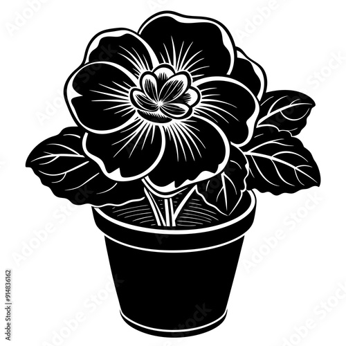 begonia vector illustrtion on white background 