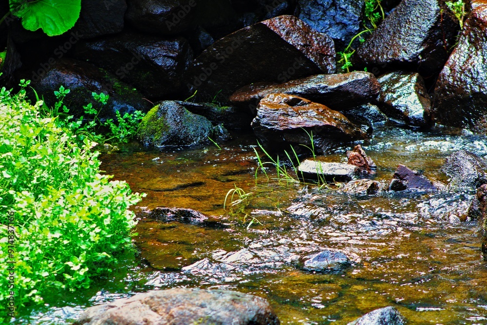 stones in the pond stones in the pond