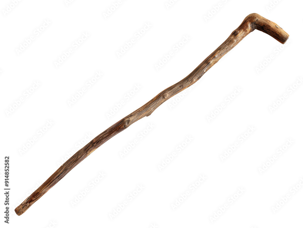 Walking stick isolated on transparent background Walking stick isolated on transparent background