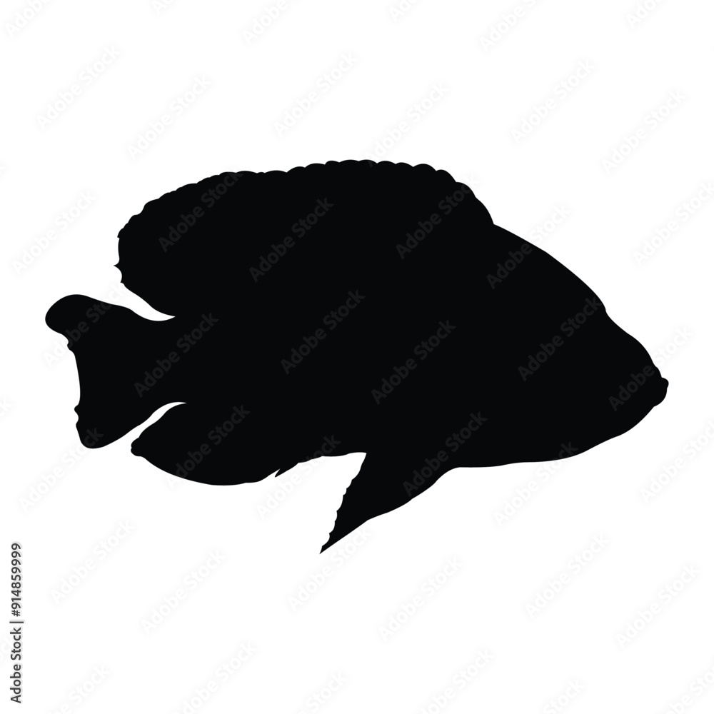 black freshwater ornamental fish silhouette vector design on a white background black freshwater ornamental fish silhouette vector design on a white background