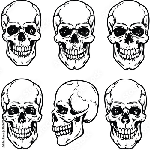 A set of five different greyscale vector illustrations of human skulls in various views and expressions. photo