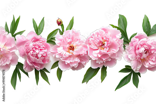 Decorative Frame Peony Flowers isolated on white background