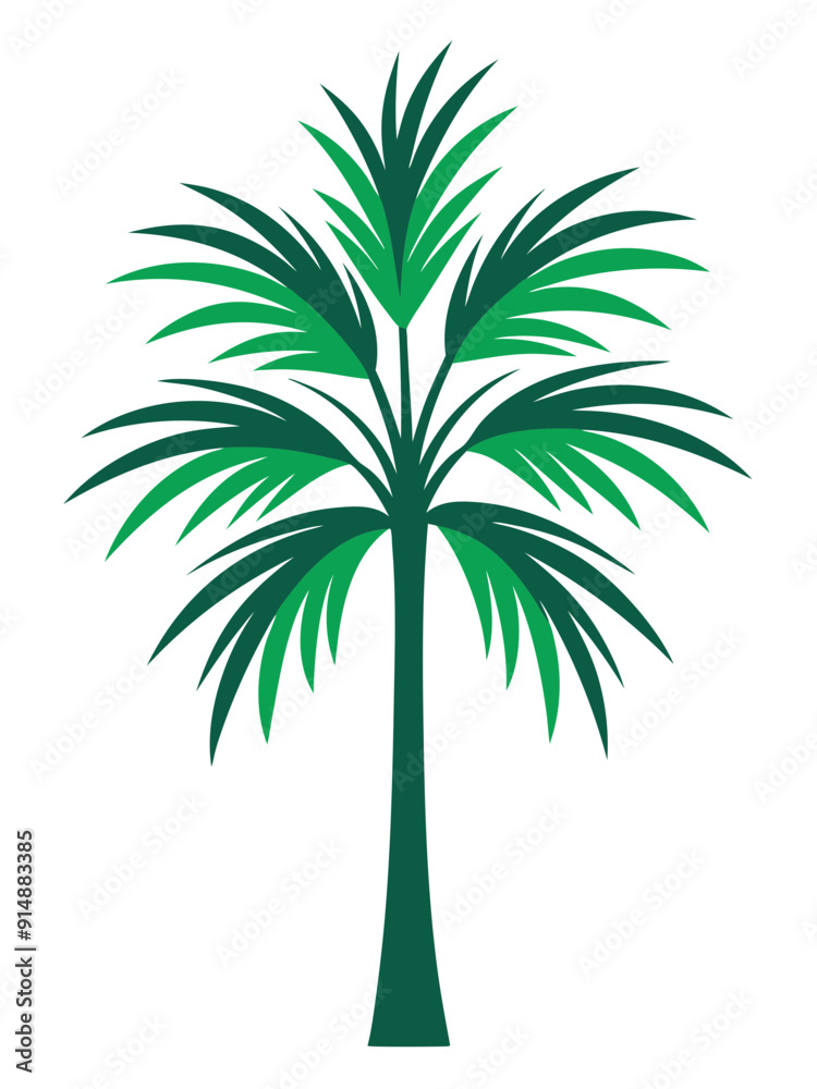 Obraz premium Areca Palm plant vector illustration 
