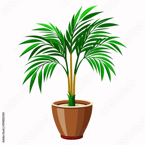 Vector illustration of an Areca Palm in a pot