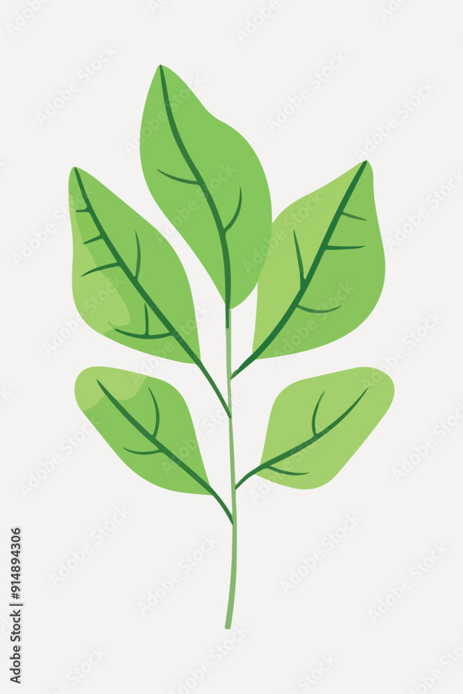 flat leaf plant illustration vector flat leaf plant illustration vector