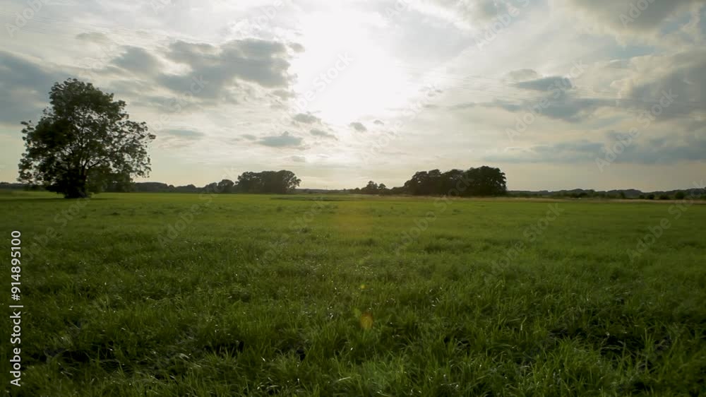Sunny countryside field under a cloudy sky with vibrant green grass Sunny countryside field under a cloudy sky with vibrant green grass