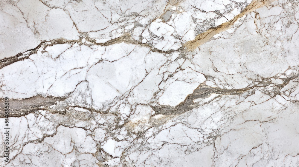 White Marble Surface with Intricate Veining White Marble Surface with Intricate Veining