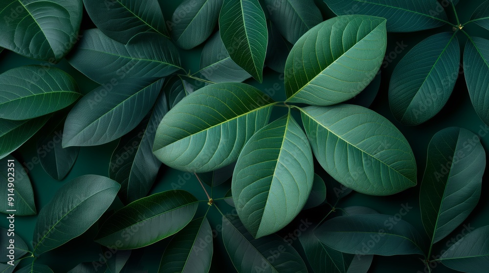 Vibrant green leaves with detailed textures, a natural and fresh botanical pattern Vibrant green leaves with detailed textures, a natural and fresh botanical pattern