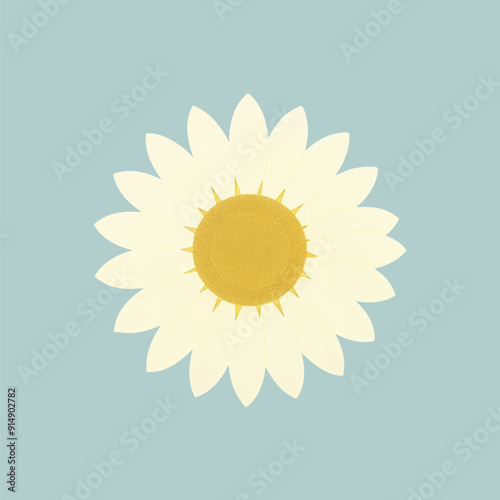 Minimalist daisy flower illustration
