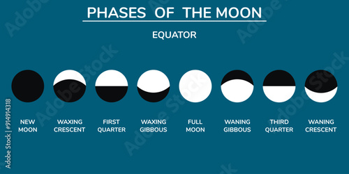 The Phases of the Moon. Equator. Background. Education. Science. School. Vector illustration.