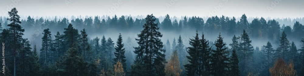Obraz premium Ethereal Autumn Forest: Aerial View of Misty Ancient Woodland at Dawn. Mysterious Landscape with Fog-Shrouded Trees, Rich Fall Colors, and Moody Atmosphere. Captivating 4K Nature Wallpaper for Travel