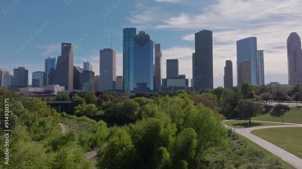 Reveal of Houston skyline from low and between trees Reveal of Houston skyline from low and between trees