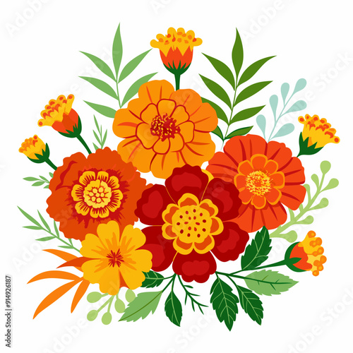 colorful marigold flower arrangements vector illustration