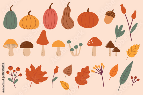 Hand drawn vector set autumn elements. Fall leaves, mushrooms, maple, acorns, berries, oak, pumpkins. Harvest time. Colored trendy illustration. Autumn floral stickers. EPS10