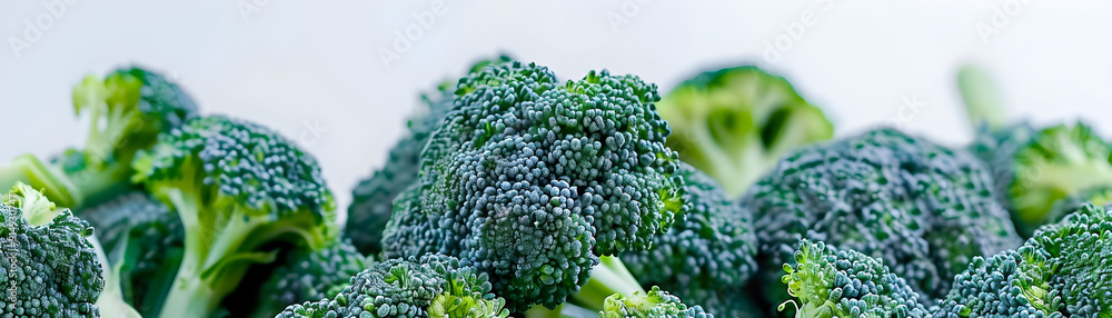 Close-Up of Fresh Green Broccoli Florets - Realistic Food Photography Close-Up of Fresh Green Broccoli Florets - Realistic Food Photography