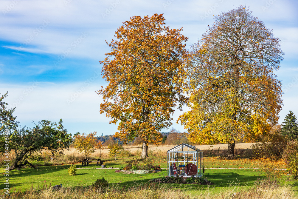 Greenhouse in a garden in autumn Greenhouse in a garden in autumn