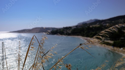 Blades of grass moving in slow motion in the wind in front of the sea in summer