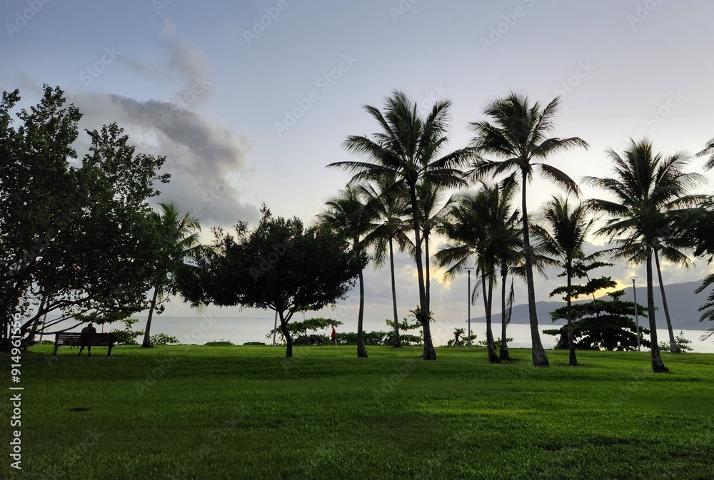 palm trees on the beach