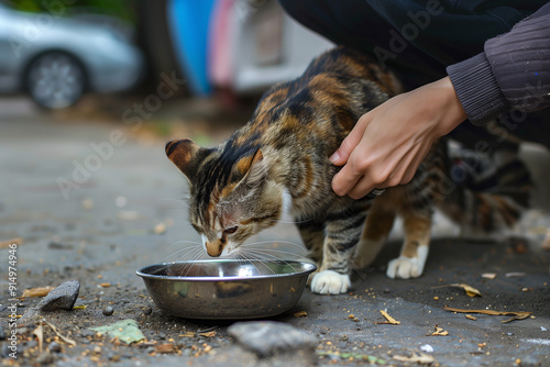 Wallpaper Mural Person feeding homeless cat on the street. Generative AI Torontodigital.ca