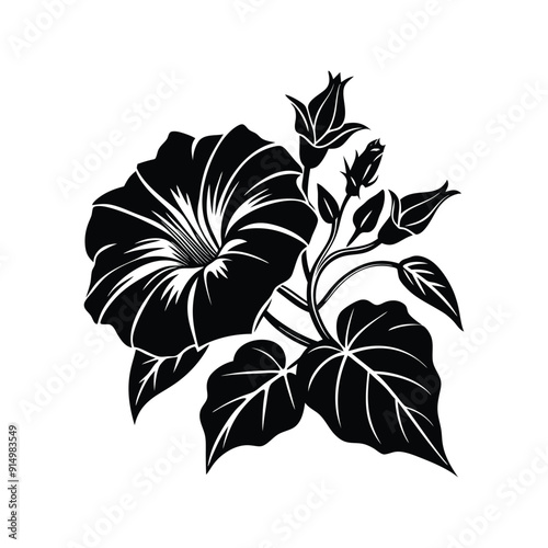 a morning glory flower silhouette vector illustration