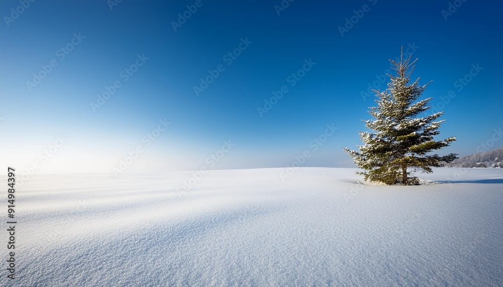 Isolated evergreen tree standing in a vast snowy landscape under a clear blue sky with soft shadows on the snow Isolated evergreen tree standing in a vast snowy landscape under a clear blue sky with soft shadows on the snow