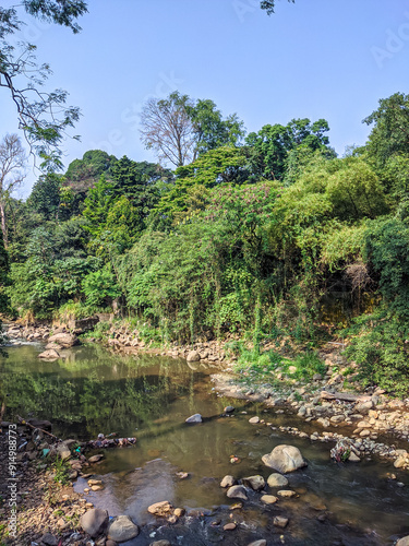 river in the forest, river in the woods, river in the jungle, stream in the forest, bridge over the river in the forest, mountain river, Ciliwung River River at Bogor Palace, river flow with rocks photo