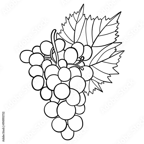 Bunch of grapes with leaf. Outline stroke. Line drawing, coloring book. Vector illustration