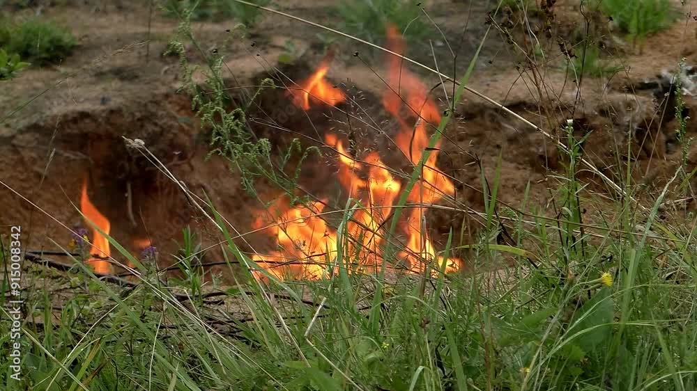 Burning hunting cartridges, shooting gunpowder in the fire, a dangerous situation. The nature of the forest is in danger because of the fire. Burning hunting cartridges, shooting gunpowder in the fire, a dangerous situation. The nature of the forest is in danger because of the fire.