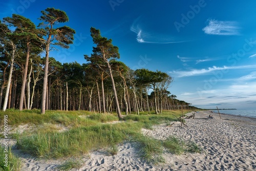 Fischland Darß-Zingst