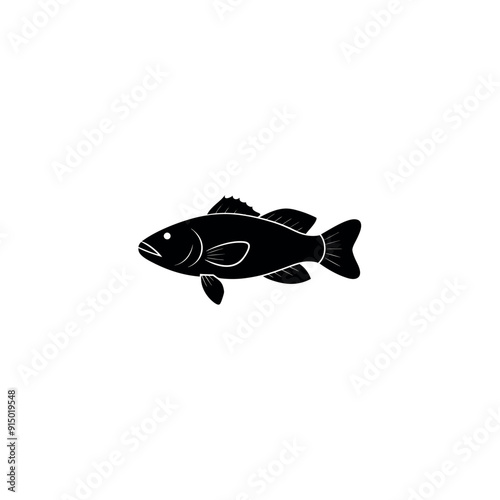  grouper fish 