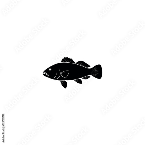  grouper fish 