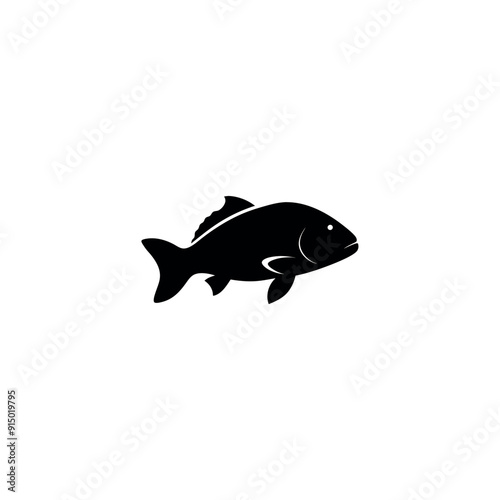  grouper fish 