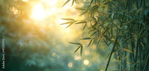 Sunlit Tranquility A Serene Morning in a Bamboo Grove