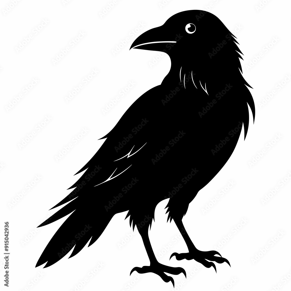 Crow Black silhouette Crow Black silhouette
