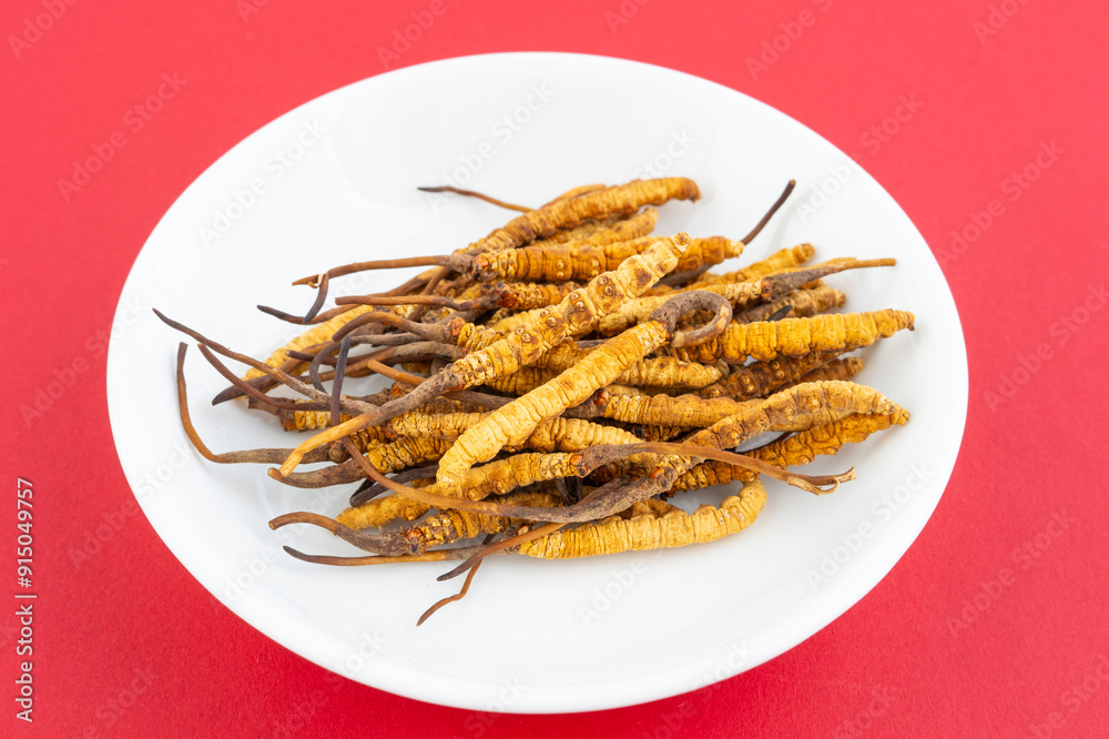 Cordyceps sinensis, a Chinese herbal medicine produced in Tibet, China Cordyceps sinensis, a Chinese herbal medicine produced in Tibet, China