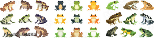 The cartoon of a frog toad. Exotic frogs and poison toads, exotic swamp animals, forest creatures with big eyes