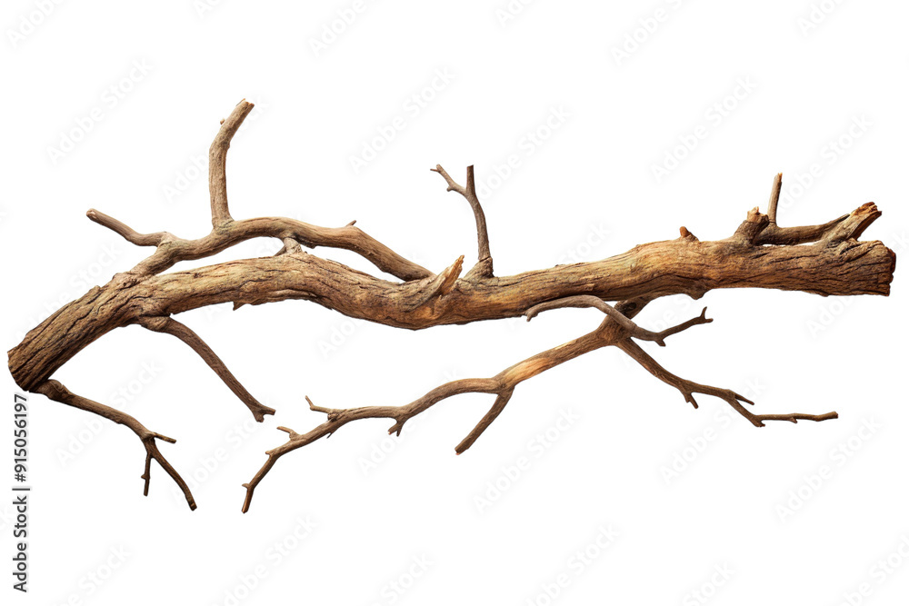 Fototapeta premium Intricately Twisted Branch Drifting Gracefully Against a Plain Background Under Soft Natural Light on Transparent PNG Background..