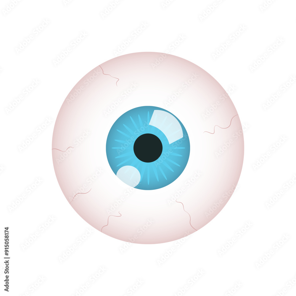 Eye ball vector retina close up, round Eyeball human. Eye ball vector retina close up, round Eyeball human.