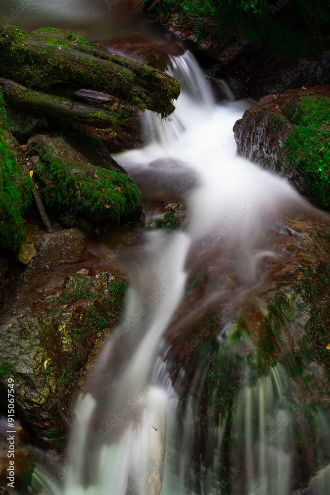 Fototapeta premium waterfall in the forest